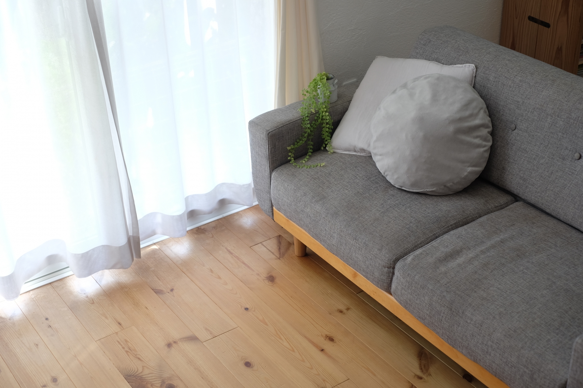 葛飾区の一戸建て・建売で日当たりと風通しを確保するためのポイント