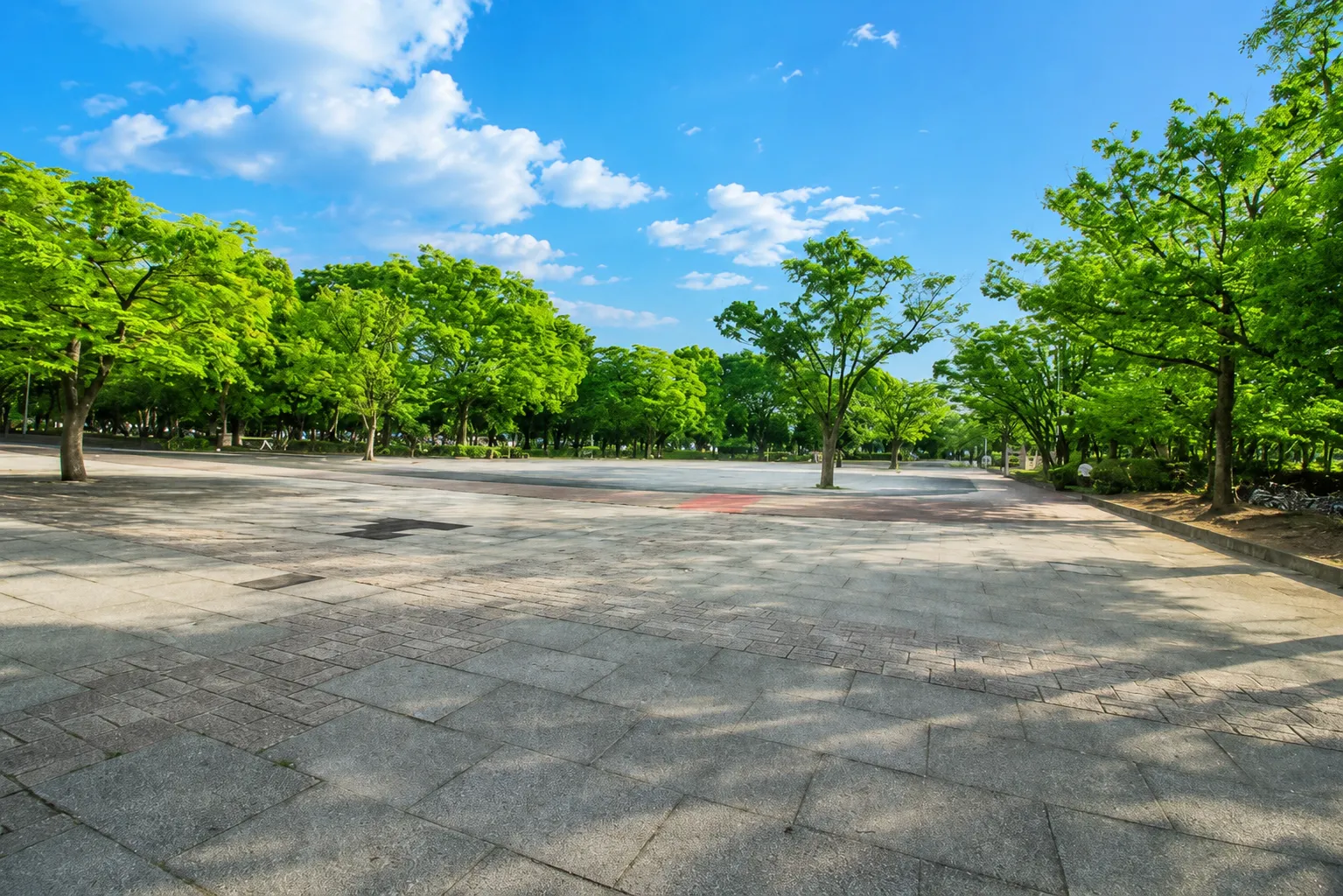 新小岩公園の風景 新小岩公園の風景