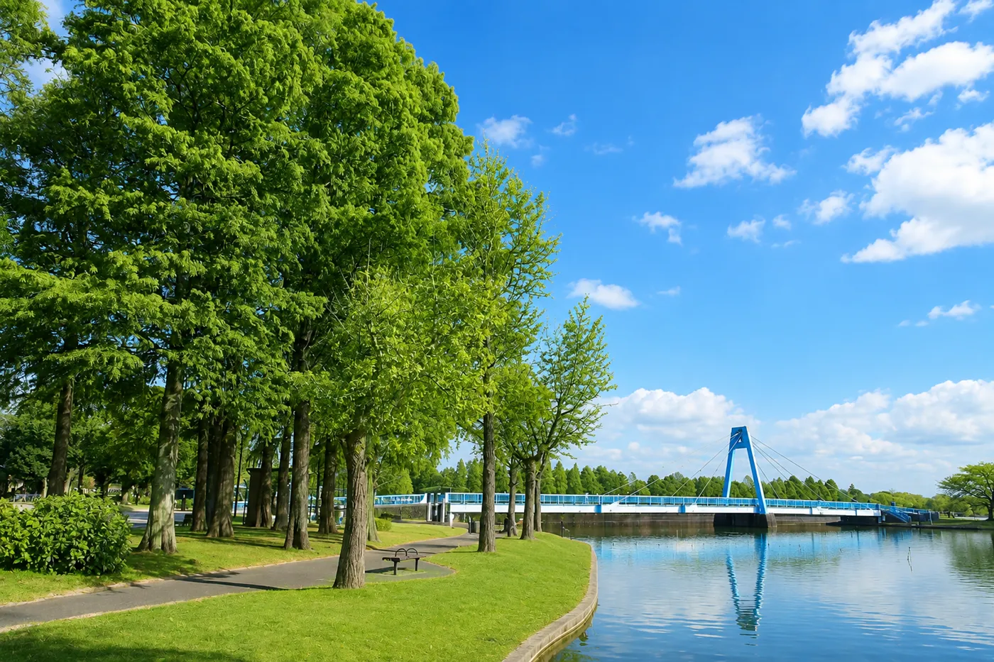 水元公園の風景