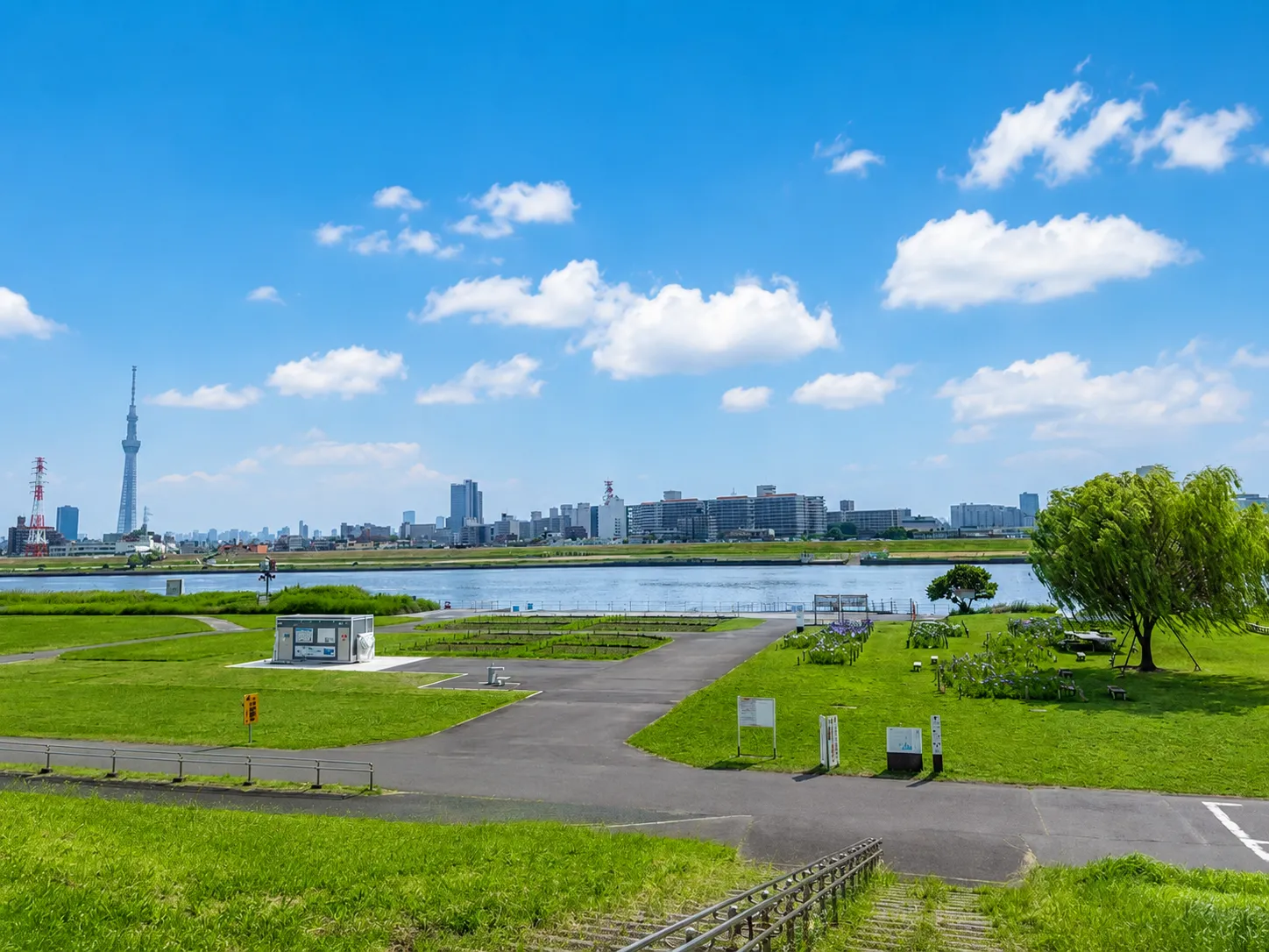 荒川河川敷の風景